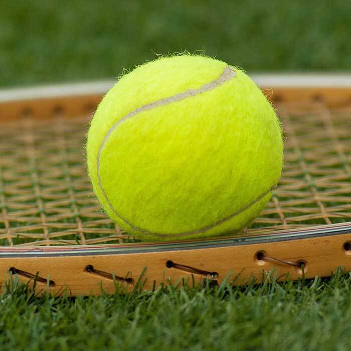 Lawn Tennis Court 2